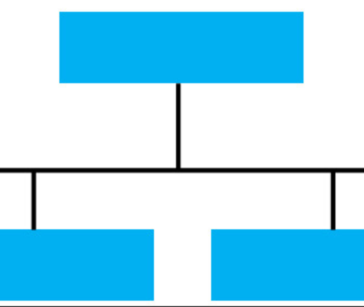 A blank organisational structure chart.