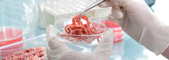 Upcoming online course – Identifying Food Fraud Meat being analysed in a laboratory for signs of food fraud