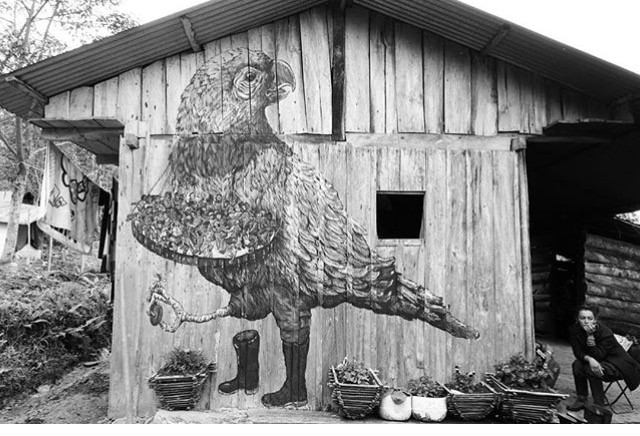 A woman sitting on a chair beside a wooden shack in Colombia. The shack has a picture of a parrot drawn on the side of it.