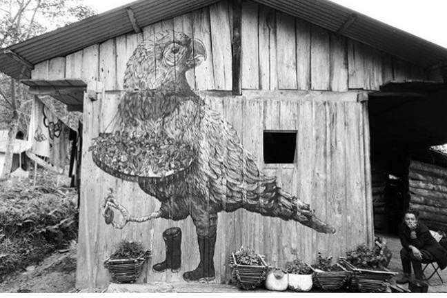 A woman sitting on a chair beside a wooden shack in Colombia. The shack has a picture of a parrot drawn on the side of it.