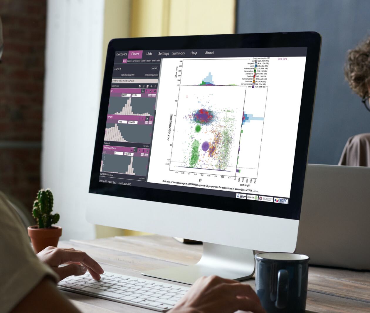 A researcher working with Blobtoolkit for quality assessment﻿ of a eukaryotic genome assembly on her computer screen.