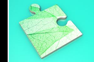 Image of a green leaf under microscope