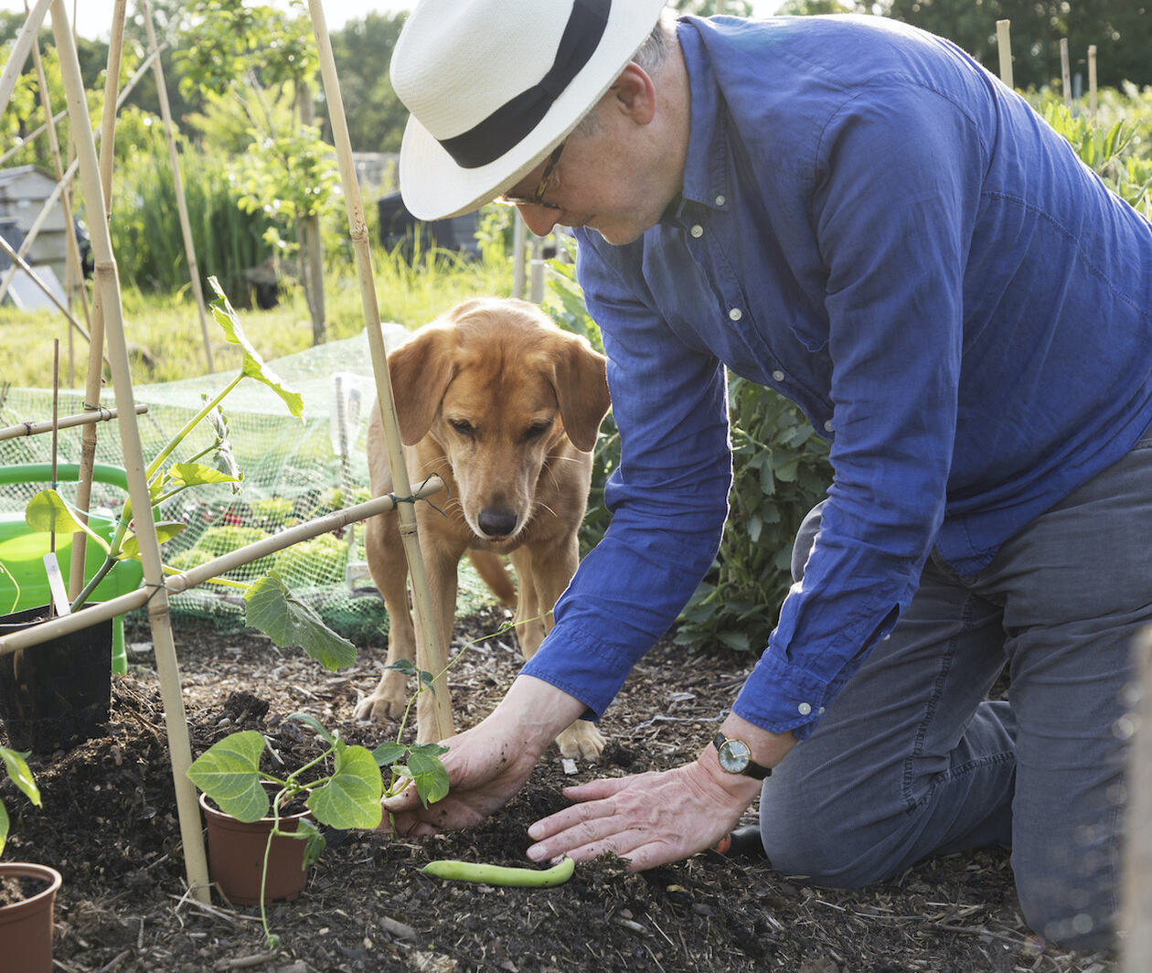 Man planting seeds with his dog watching