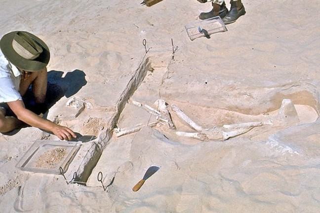 Dr Alan Thorne working on the site in 1974