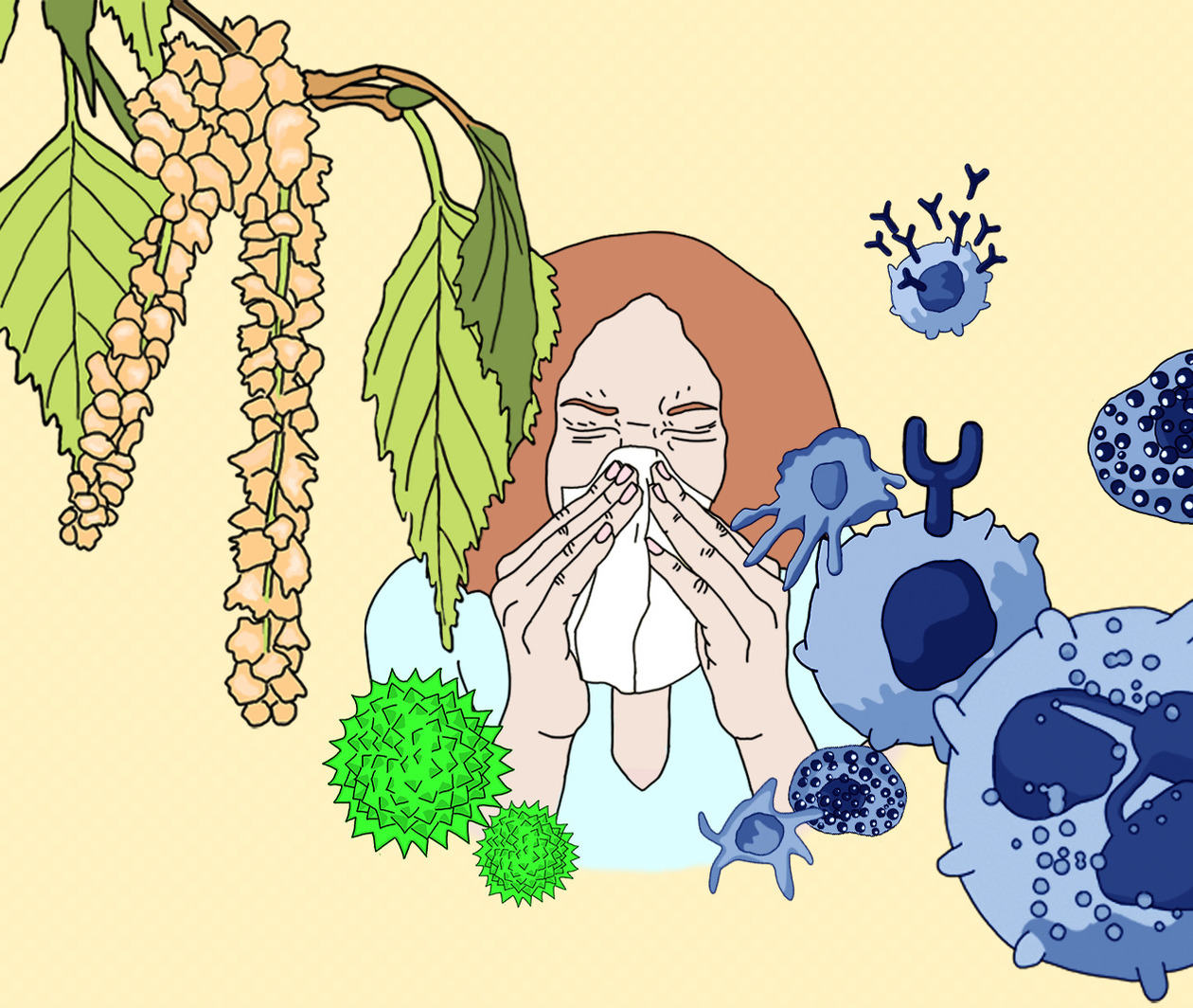 Illustration showing a flourishing birch tree and grass pollen on the left, and cells of the immune system on the right. In the background is a sneezing woman.