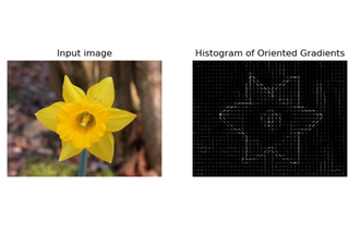 Feature Simple Image Practical: Image pre-processing and feature extraction