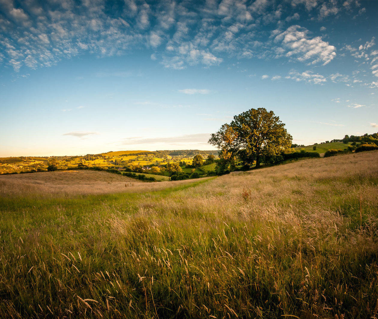 Valuing Nature: Should We Put a Price on Ecosystems?