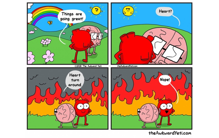 Section 1 - A heart and a brain standing together in a field in front of a rainbow. The heart says 'Things are great'. In the next frames, the weather worsens and a fire erupts. The brain tells the heart to turn around and the heart refuses.