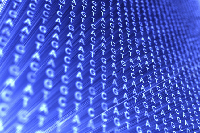 DNA code