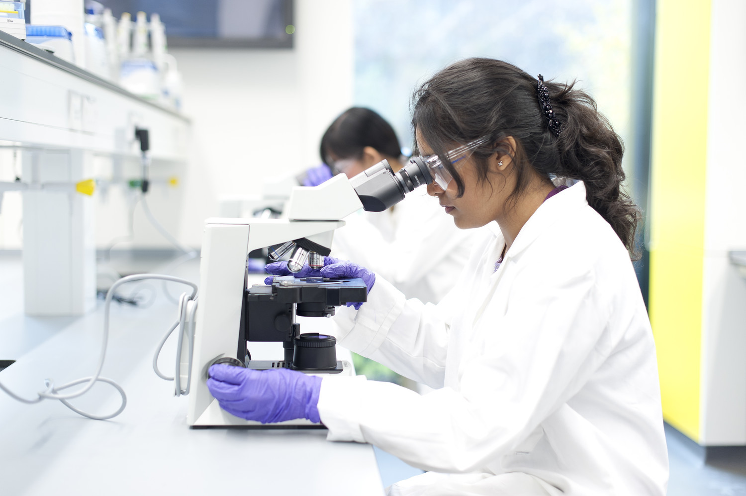 Students using microscopes in a laboratory at the University of Reading.