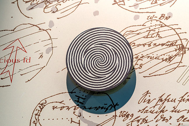 Installation by Pippa Skotnes