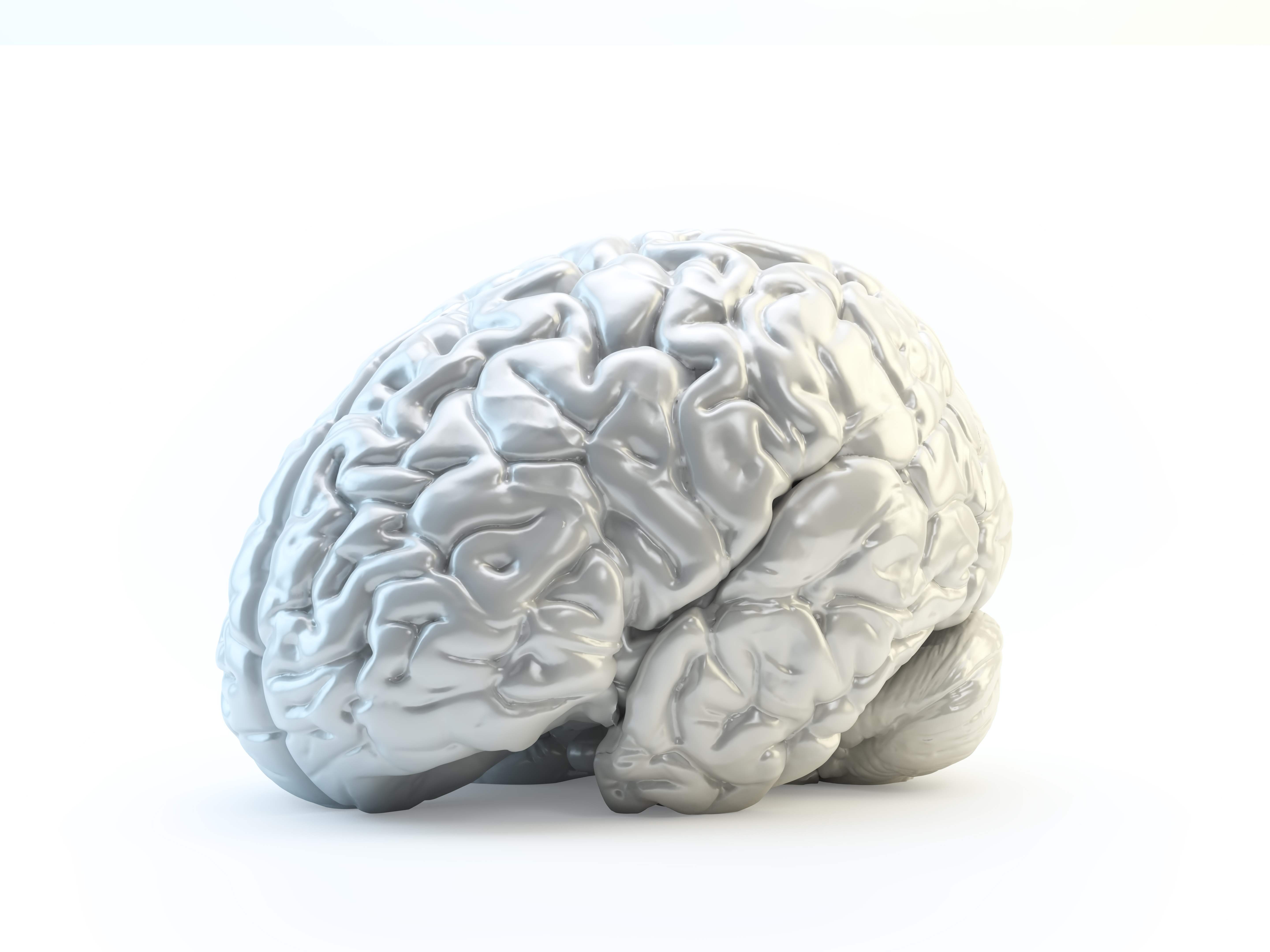 Silver, metallic looking illustration of a brain