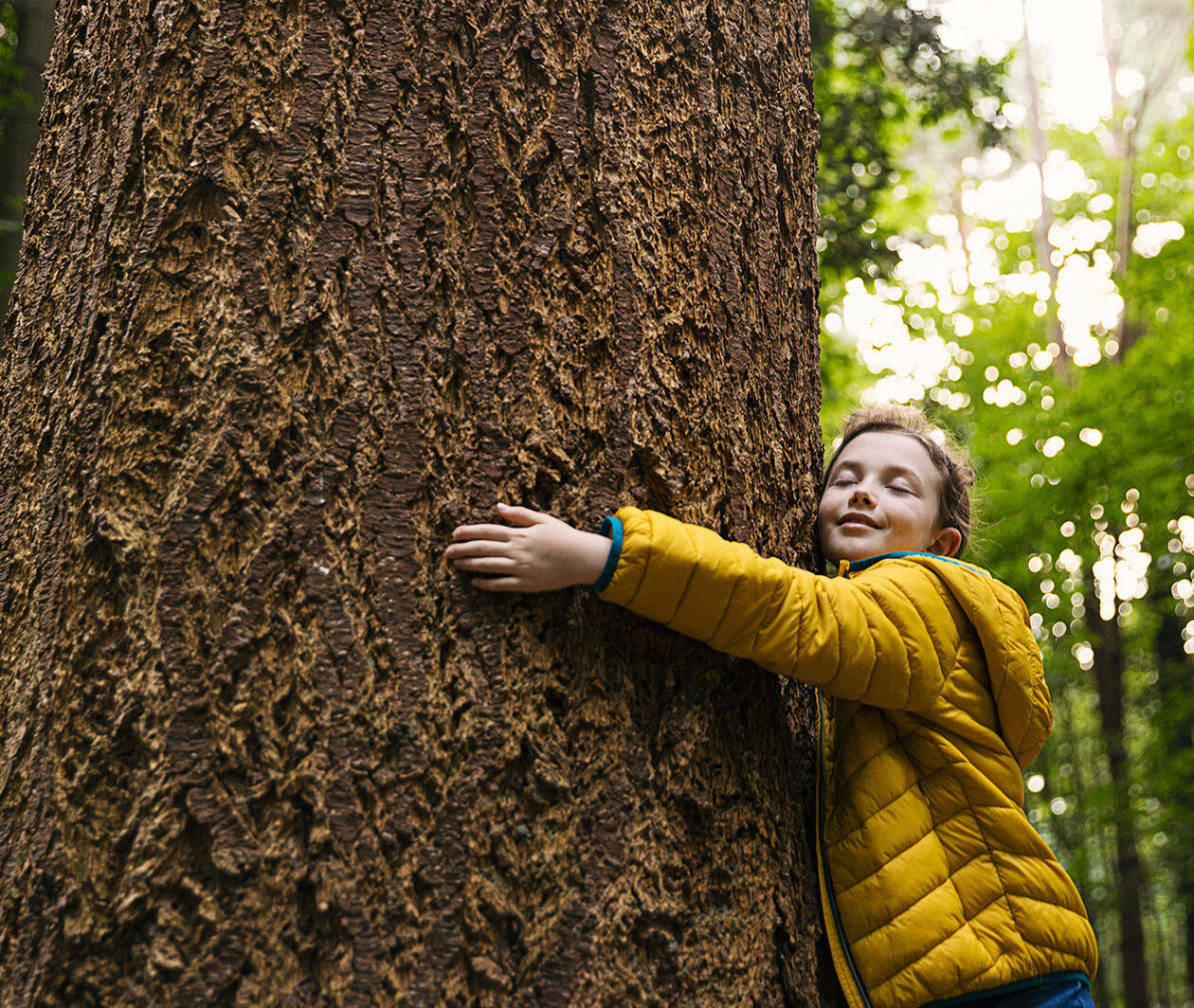 A young child wearing a bright yellow coat hugs a large tree. 