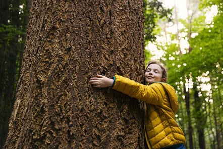 Supporting young people’s mental wellbeing post-COVID - cover image