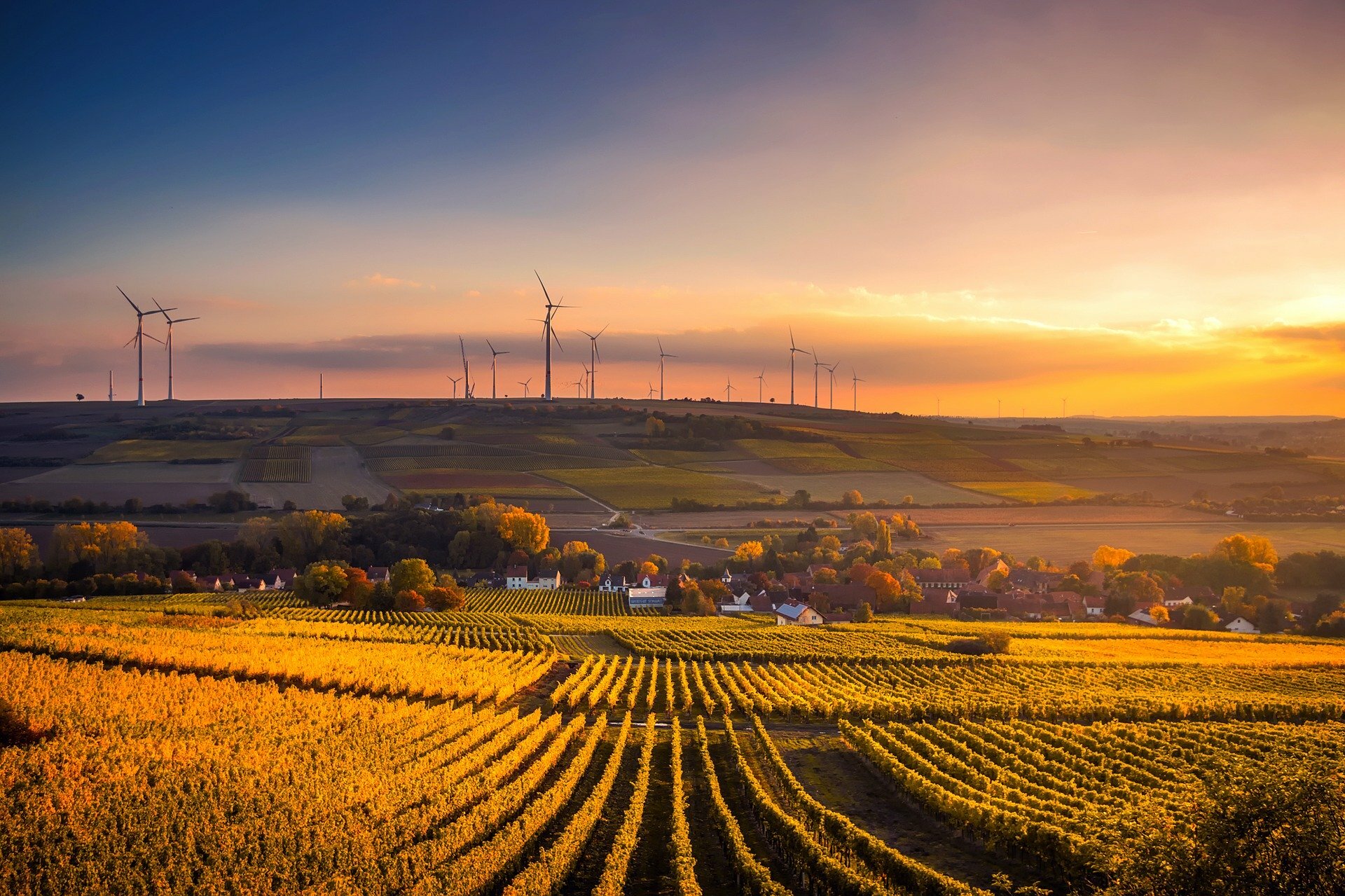 Photo of wind turbines near to houses