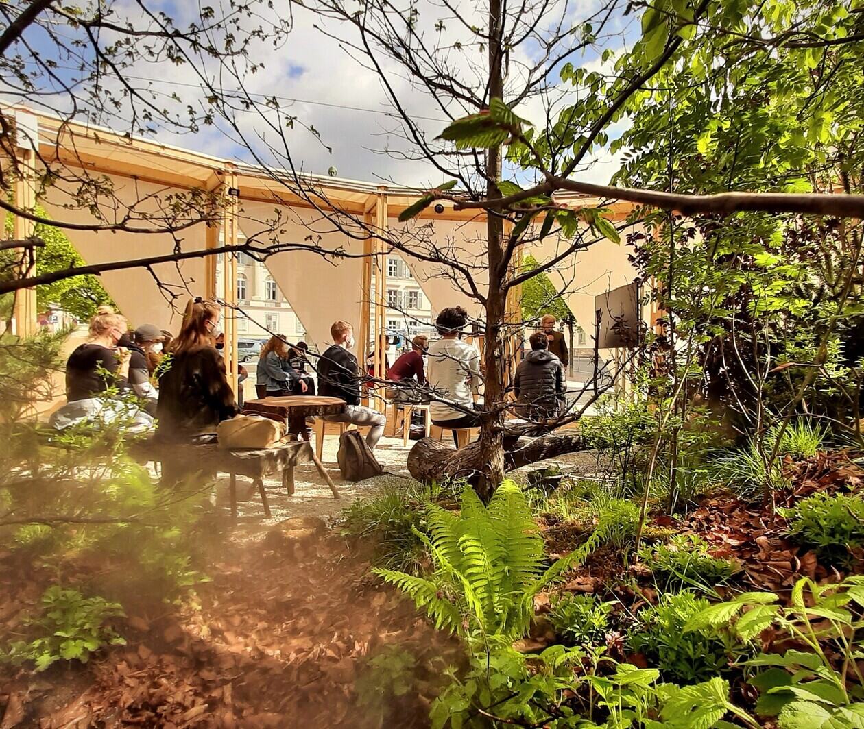 Small group watches a presentation in green natural setting