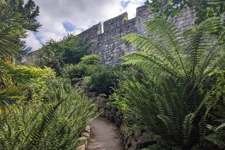 York Museum Gardens