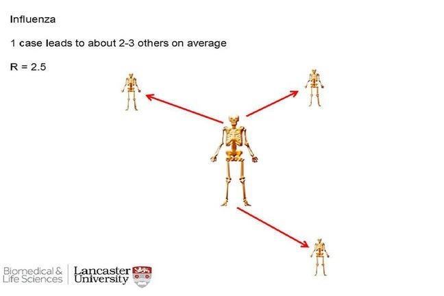 Reproductive number for influenza