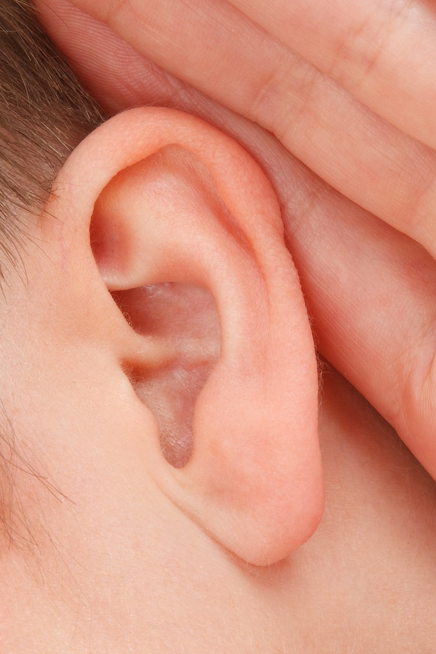 A human ear