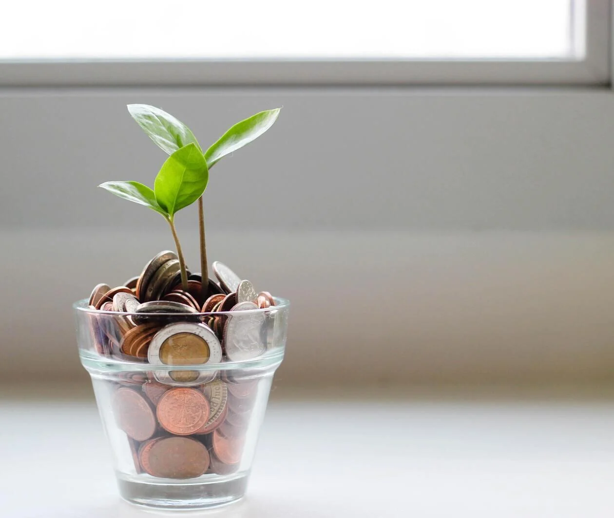 A jar of money with a plant growing out of it.