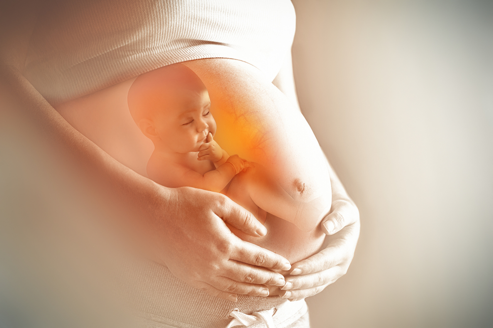 A photograph of a heavily pregnant mother shows the image of her unborn child in the womb.