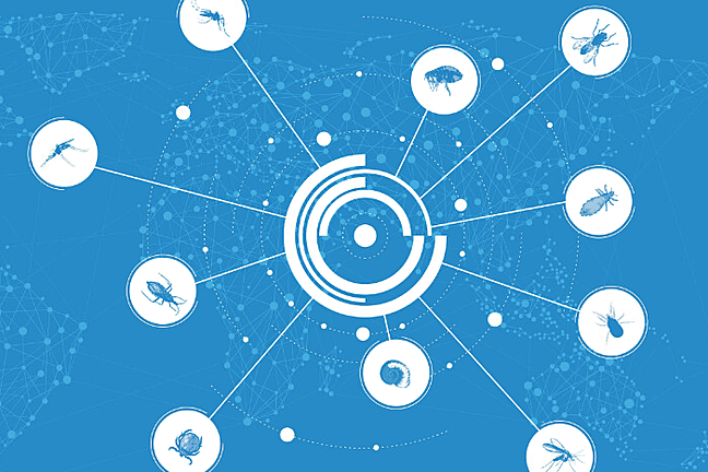 This image shows a number of vector species contained within white circles, which are attached to a central circle shape with straight lines. The vector species you can see are mosquitoes, a flea, fly, louse, mite, sandfly, snail, tick & a triatomine bug.