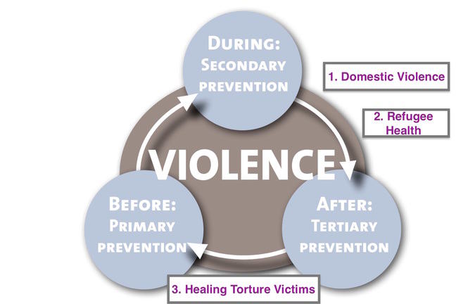 Model: Case 4 and timing of Medical Peace Work