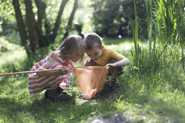 boy and girl looking into a butterfly net