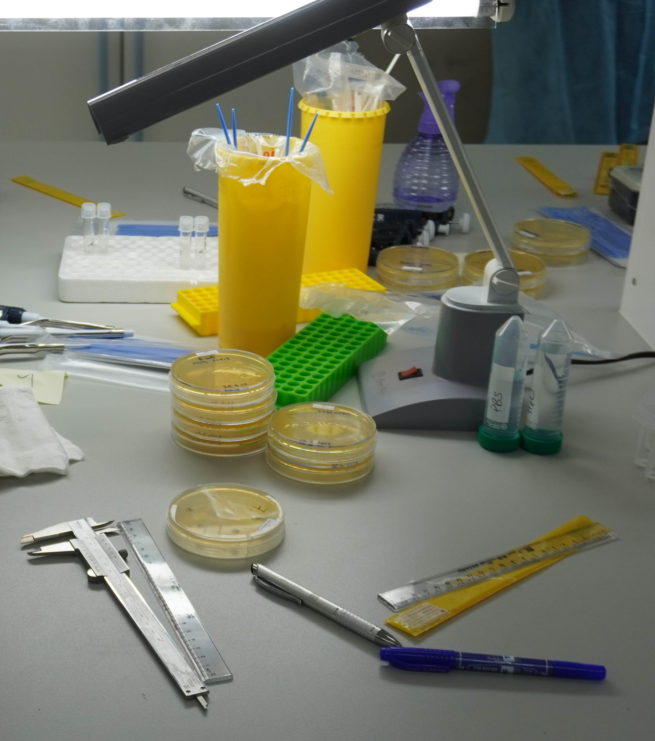 lab bench with material, petri dishes , rulers, pens