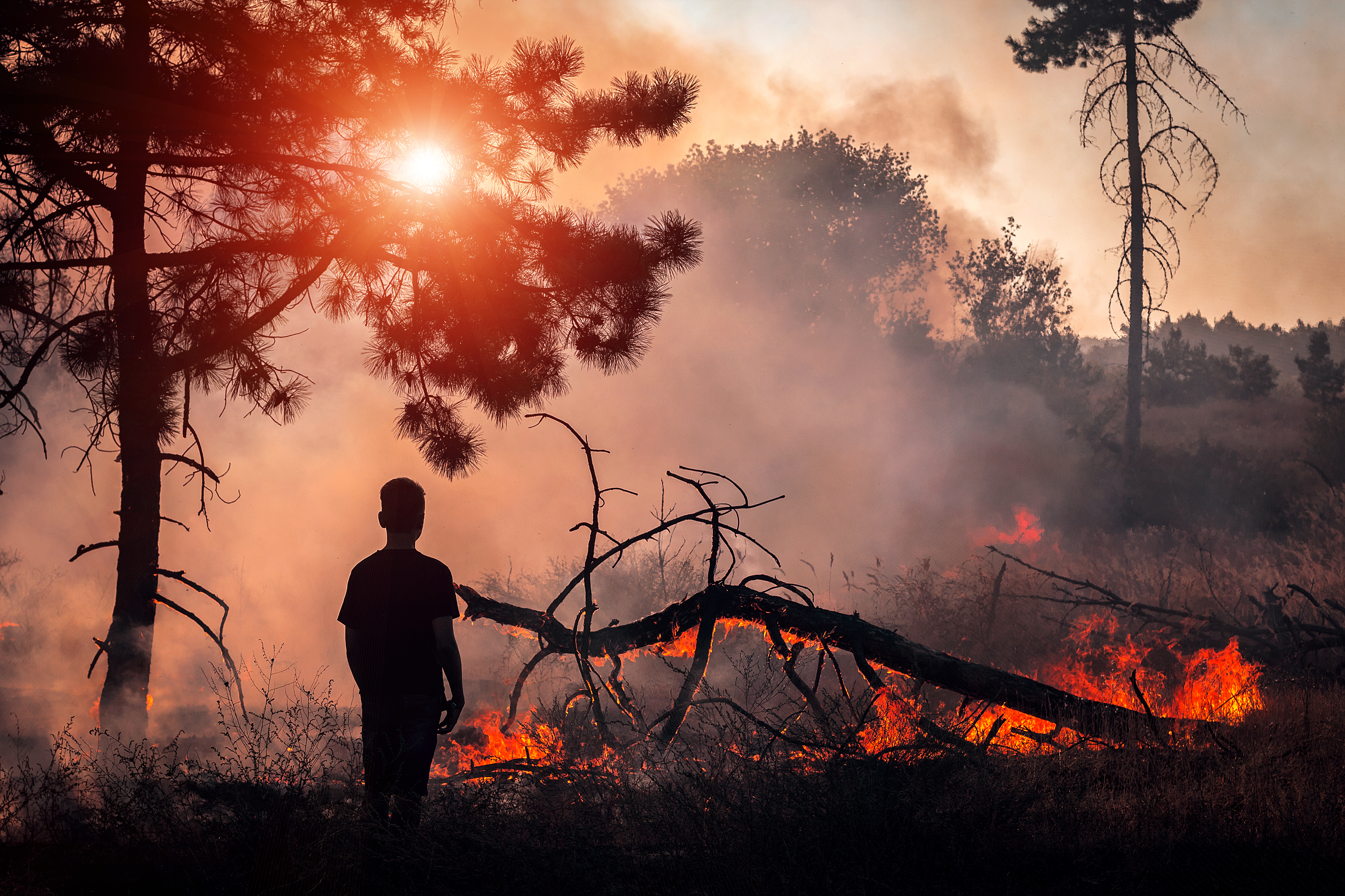 shadow of a boy looking out at a firey sunset landscape