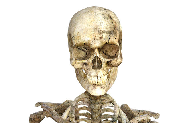 A graphical representation of a human skull