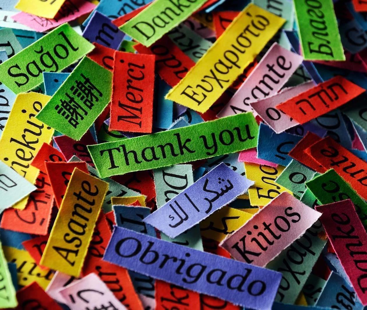 The course title 'Understanding language: learning and teaching' with colourful written notes in different languages. University of Southampton, January 2015.