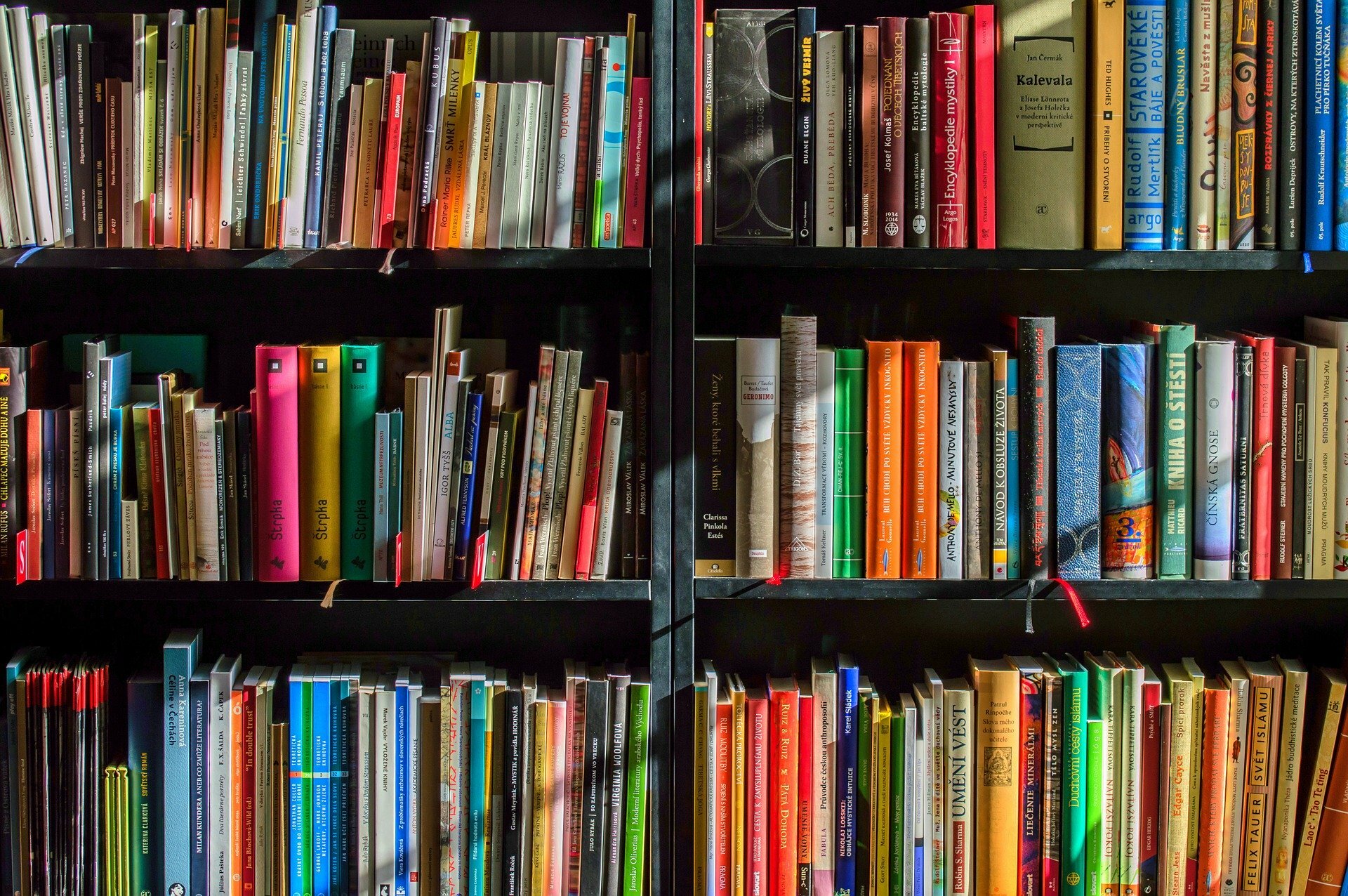 bookshelf with colourful books