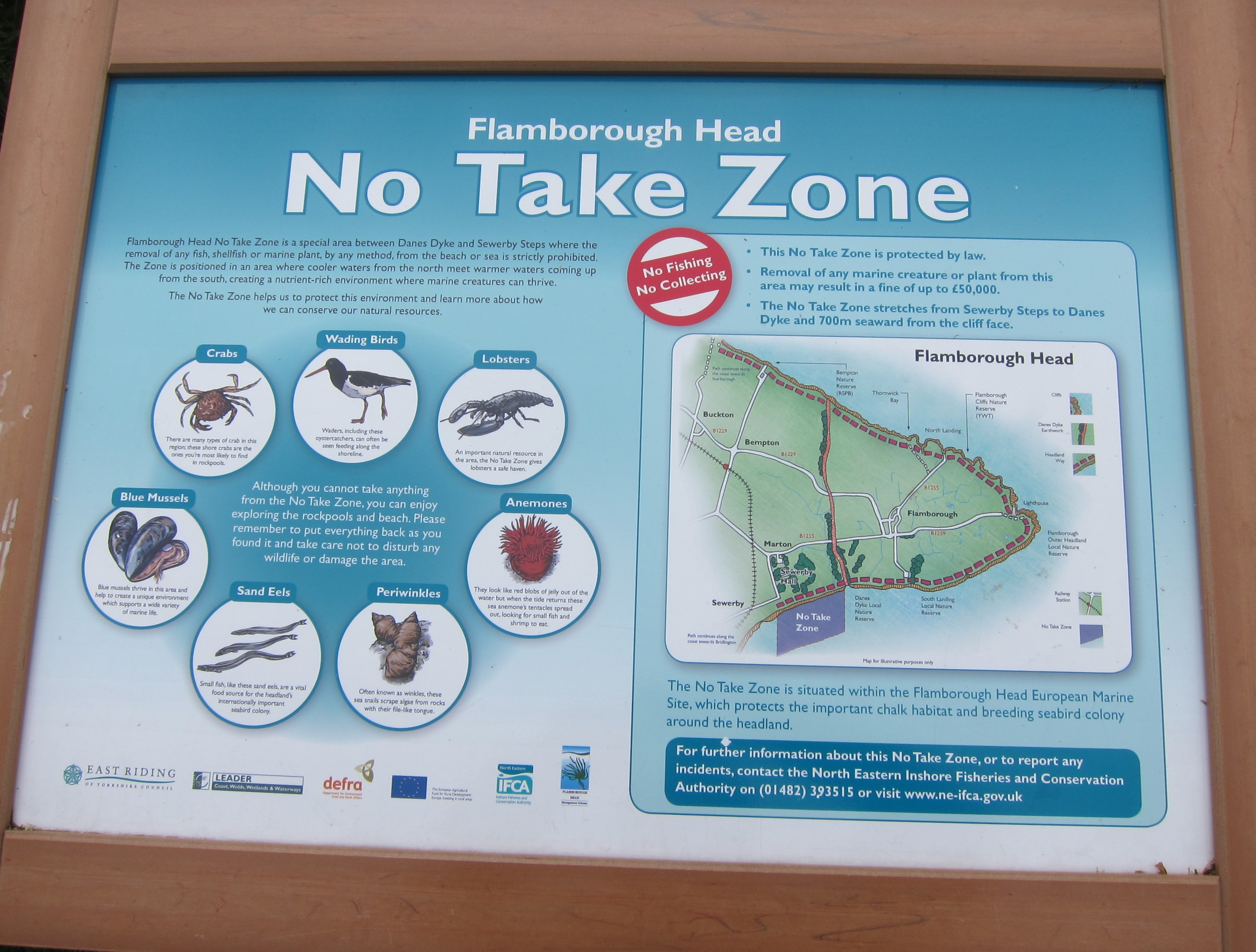 A sign at the Flamborough Head No Take Zone