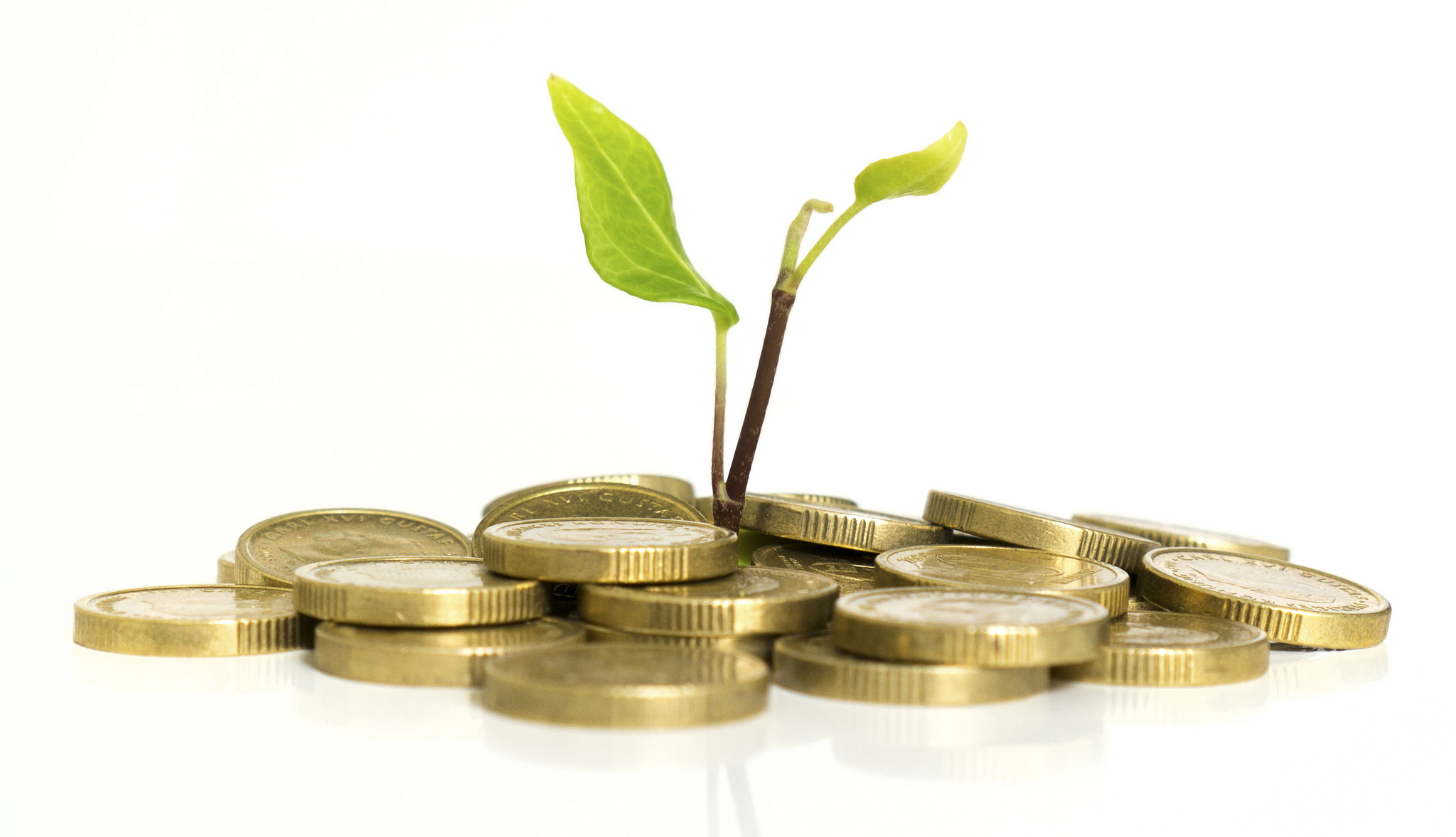 Buds growing from pile of coins