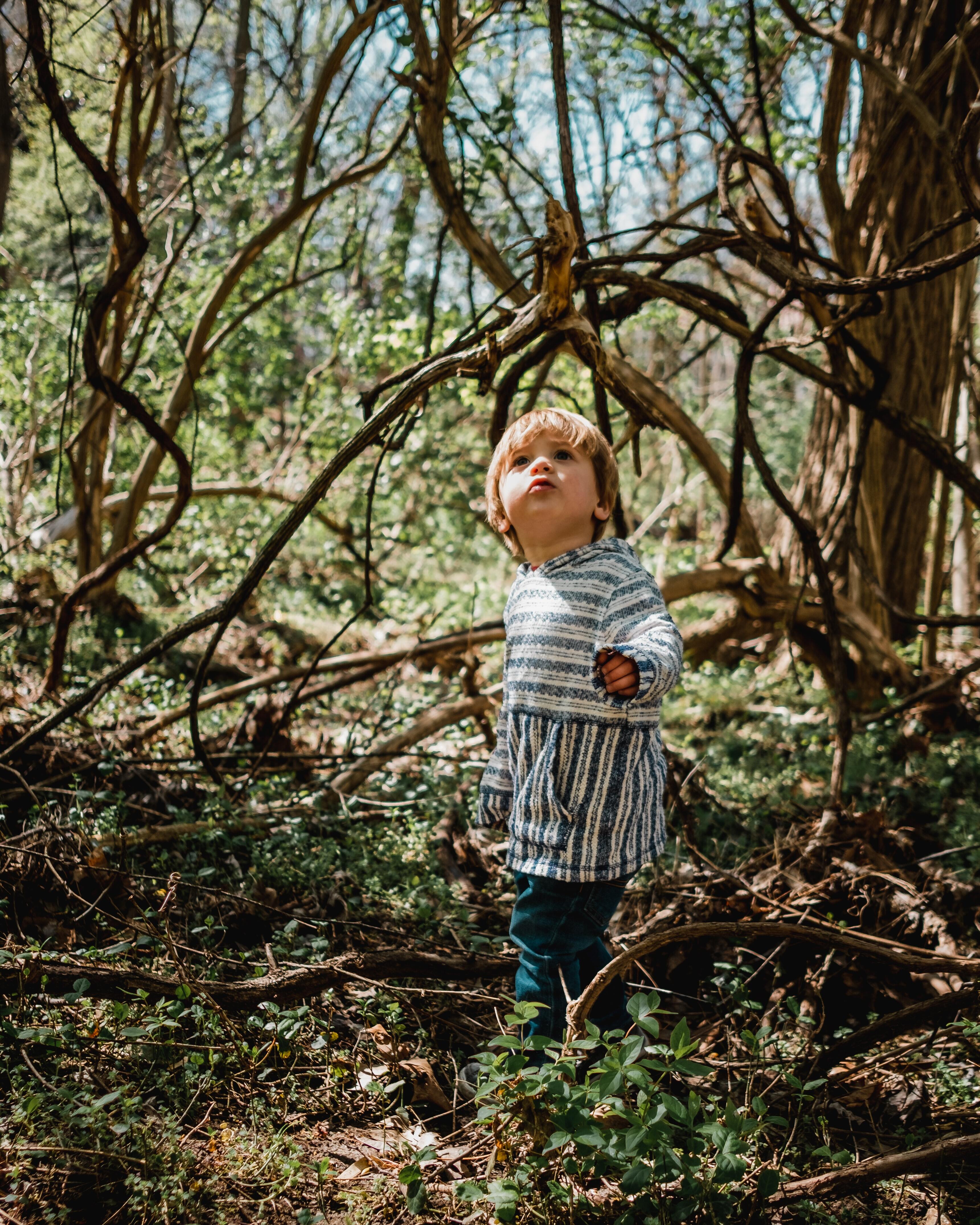 Kid in the middle of nature looking up