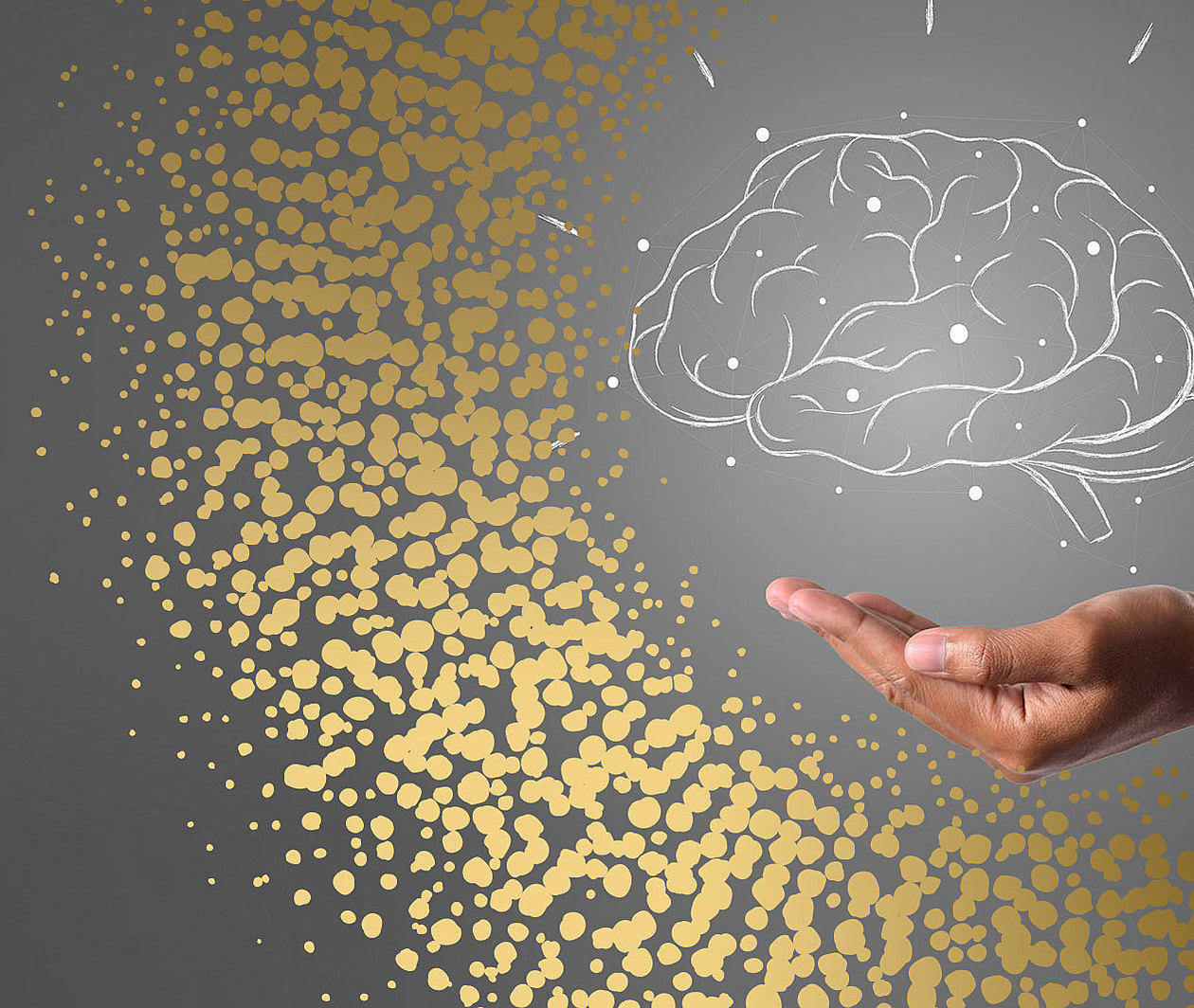 Neuroleadership and Conceptual Approaches in Educational Neuroscience