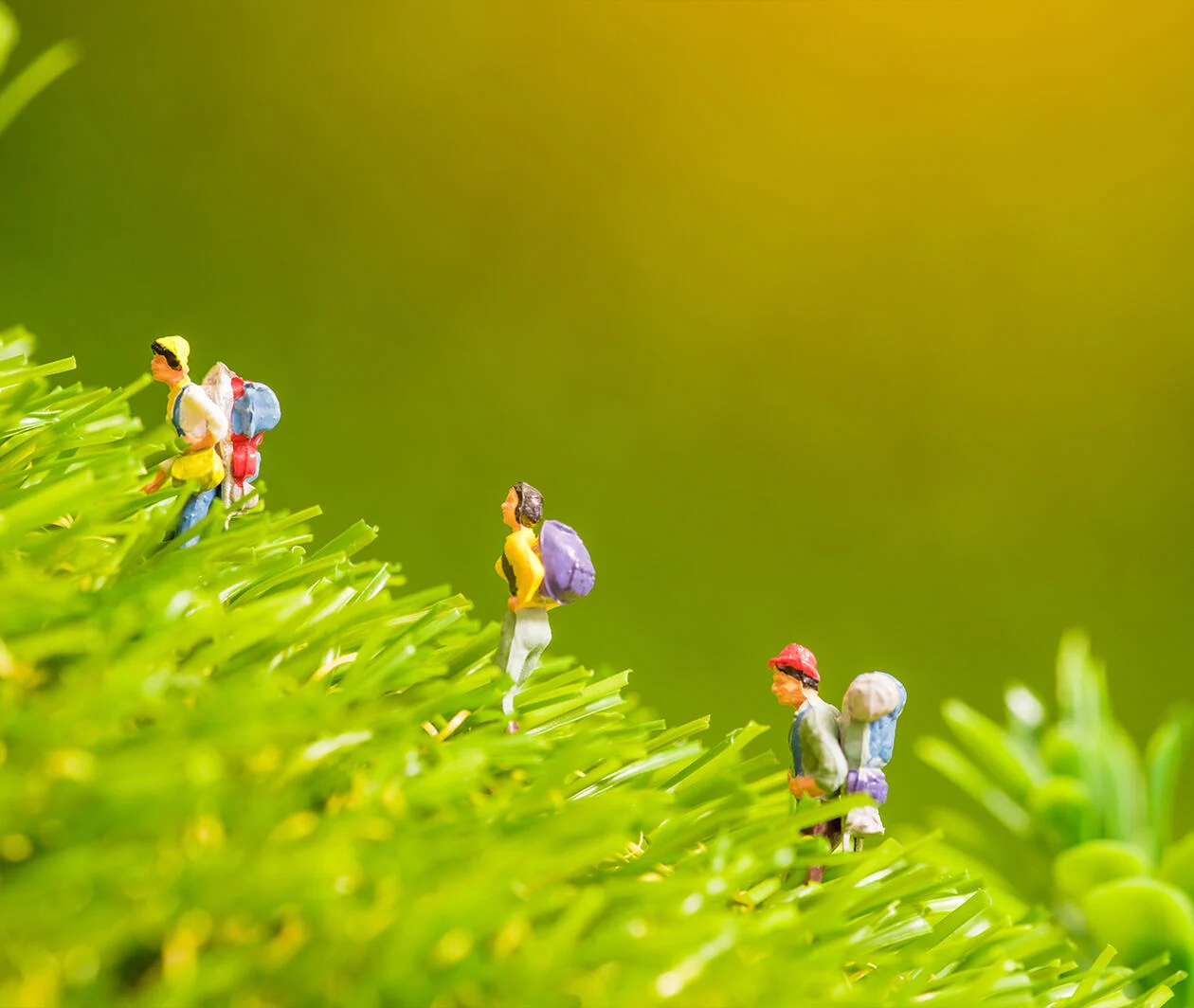 Miniature figure person backpack team, travelers standing on green grass,tourism concept