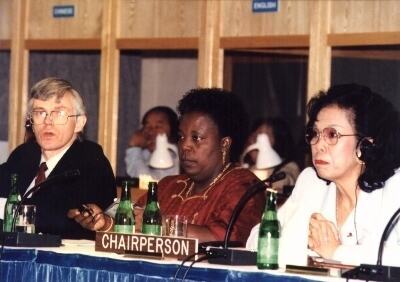 The Main Committee Finalizing the Action Plan of the Fourth Women's Conference