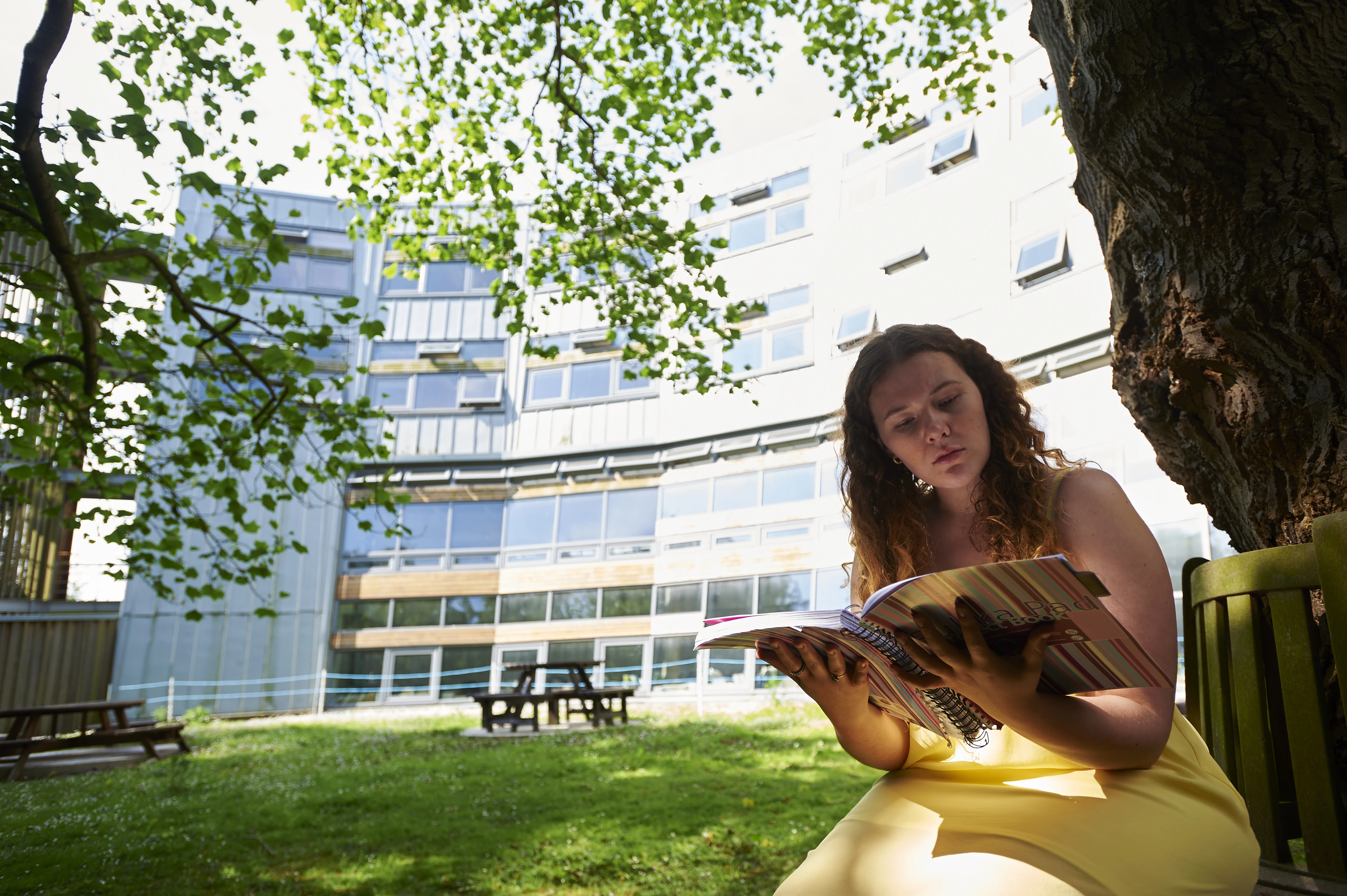 Student reading a notebook sat outside