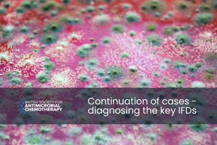 A close up of a petri dish with cultures growing. Title text reads 'Continuation of cases - diagnosing the key IFDs'.