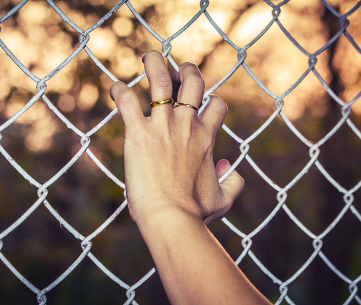 Hand holding a wire fence