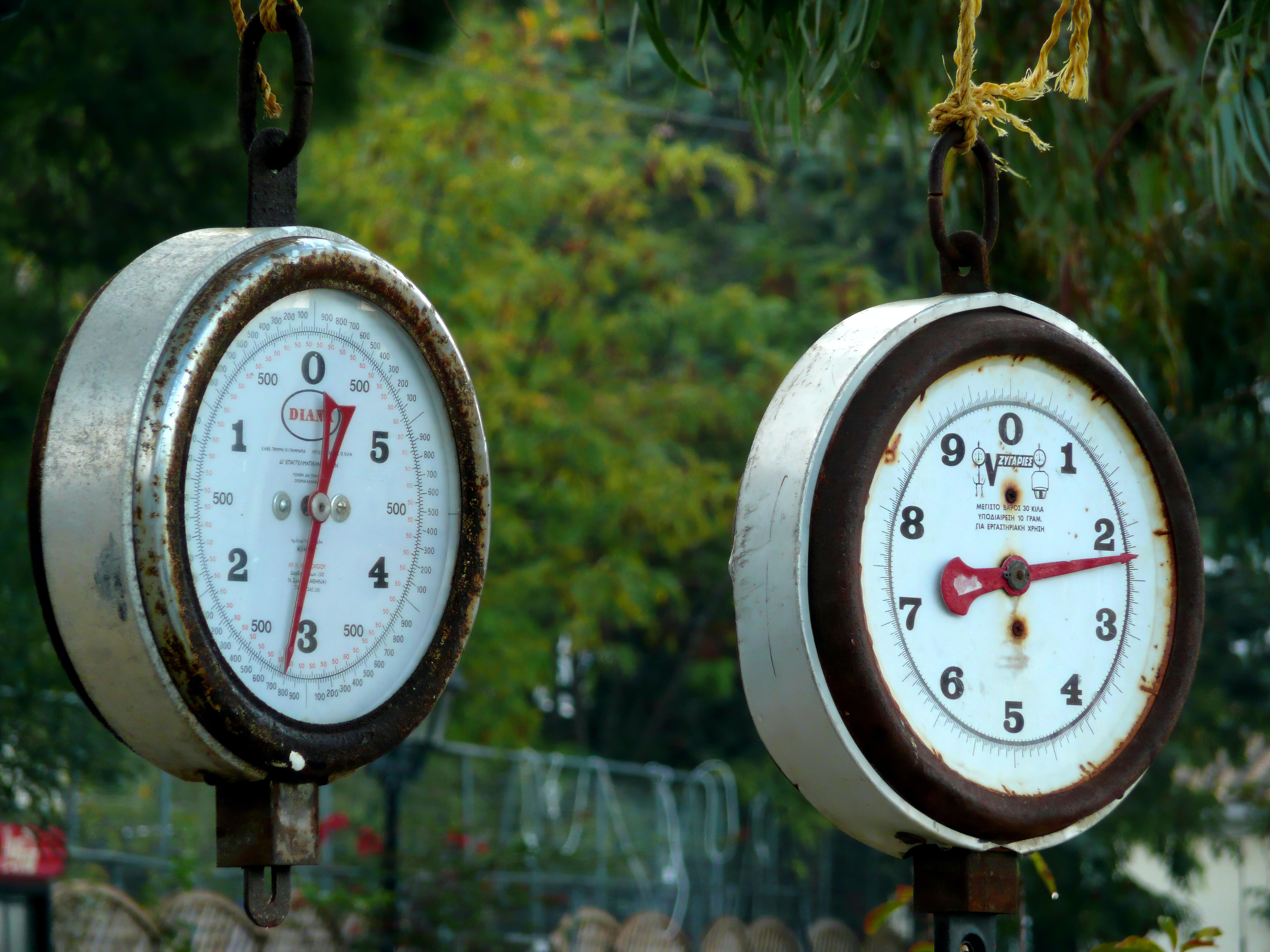 Round scales in front of trees