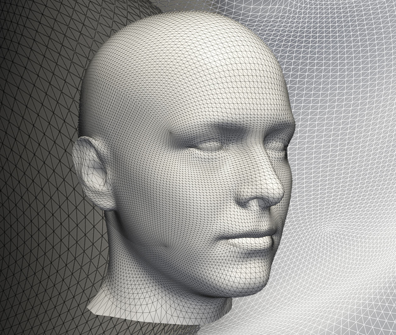 An image of a human head created using statistical shape modelling