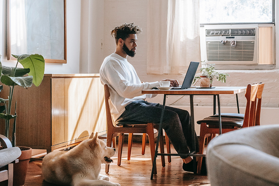 A semi-formally dressed man is working at a table on a laptop in an air-conditioned, well-ventilated room. He has a cup of coffee on the table. His pet dog is sitting on the floor next to him. Behind him are a white board and a green potted plant.