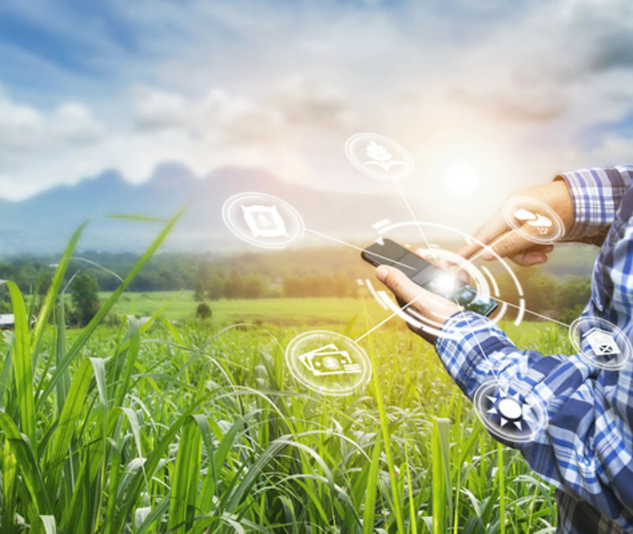 A man using a mobile device in a field