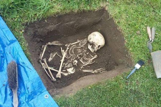 A skeleton in the bottom of a mock grave. The skeleton is partially jumbled up. There is a trowel and shovel at the edge of the grave.