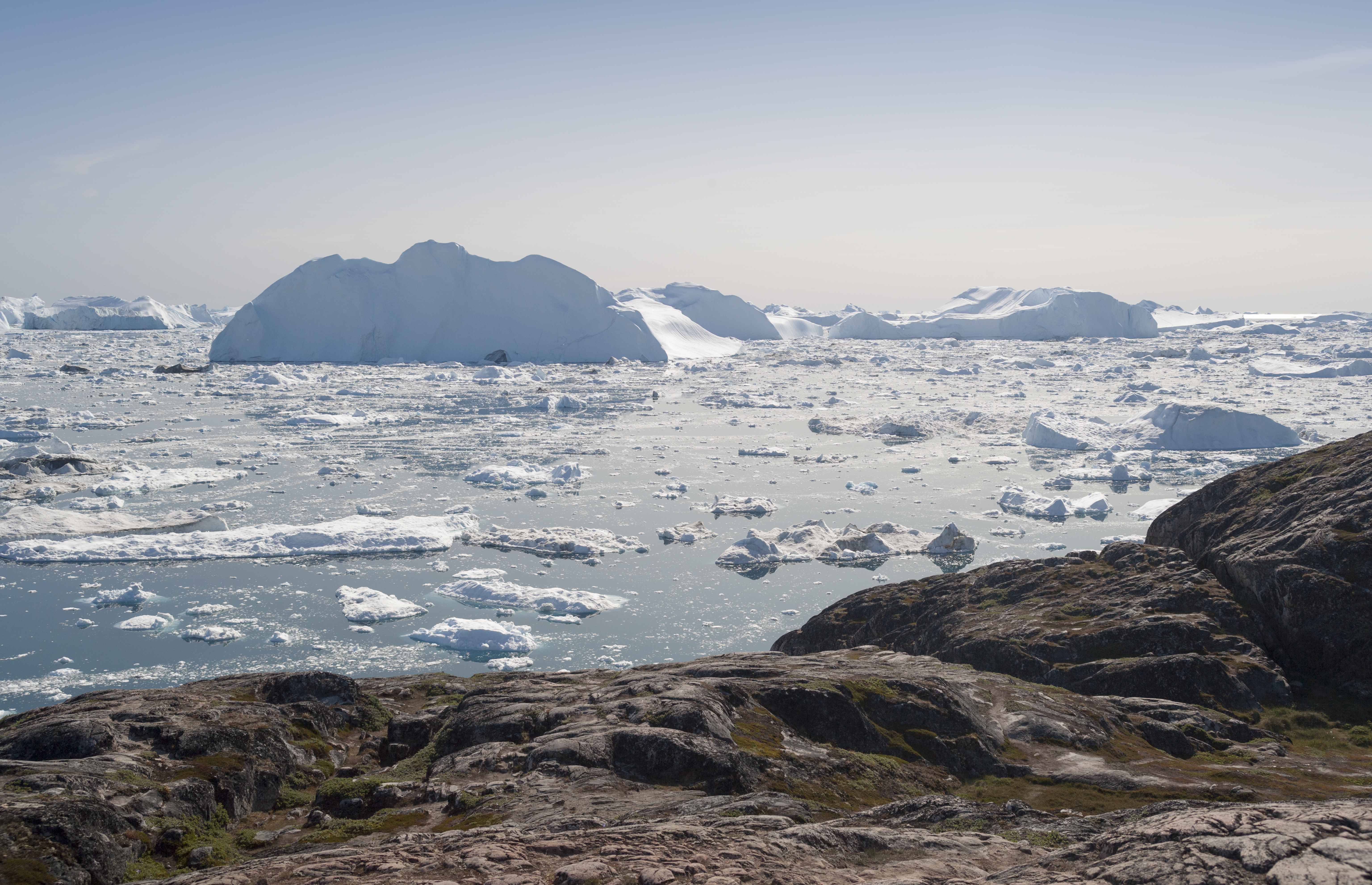 Sunlit icebergs