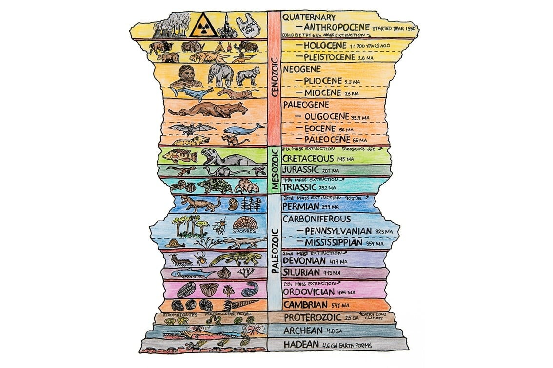 The image shows the geological timescale from the Hadean to the Anthropocene.