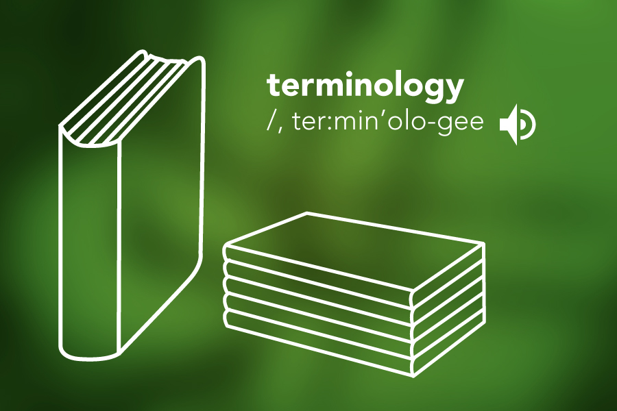Terminology Image of a dictionary